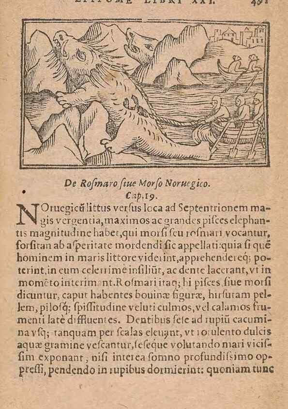 Reproducción/Reproduction 15449412389: Historiae de gentibus septentrionalibus /. Antverpiae :Apud Ioannem Bellerum,[ca. 1557]