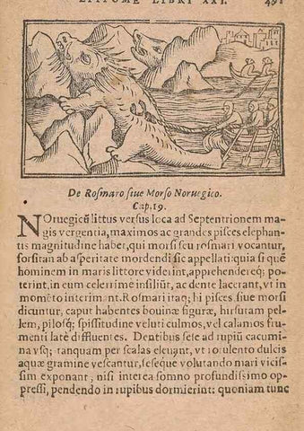Reproducción/Reproduction 15449412389: Historiae de gentibus septentrionalibus /. Antverpiae :Apud Ioannem Bellerum,[ca. 1557]