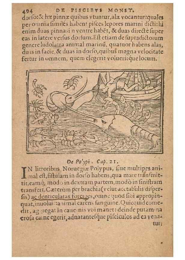 Reproducción/Reproduction 15449417809: Historiae de gentibus septentrionalibus /. Antverpiae :Apud Ioannem Bellerum,[ca. 1557]