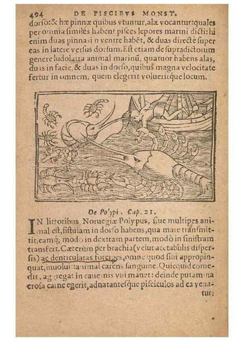Reproducción/Reproduction 15449417809: Historiae de gentibus septentrionalibus /. Antverpiae :Apud Ioannem Bellerum,[ca. 1557]