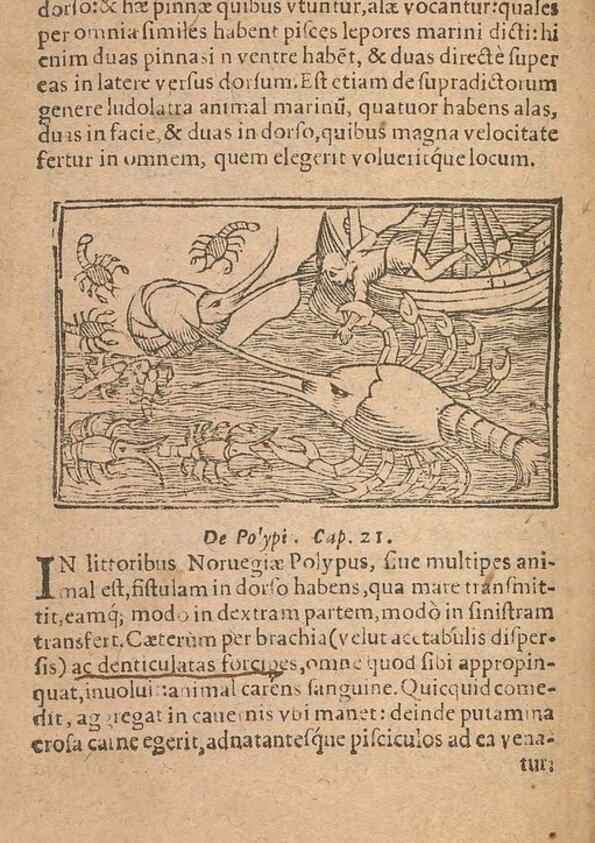 Reproducción/Reproduction 15449417809: Historiae de gentibus septentrionalibus /. Antverpiae :Apud Ioannem Bellerum,[ca. 1557]