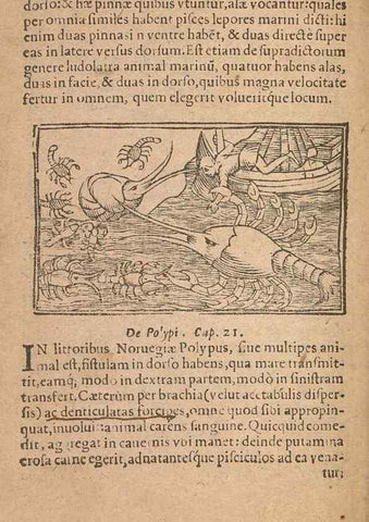 Reproducción/Reproduction 15449417809: Historiae de gentibus septentrionalibus /. Antverpiae :Apud Ioannem Bellerum,[ca. 1557]
