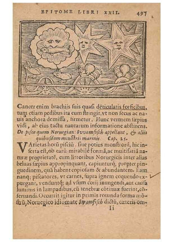 Reproducción/Reproduction 15636066305: Historiae de gentibus septentrionalibus /. Antverpiae :Apud Ioannem Bellerum,[ca. 1557]