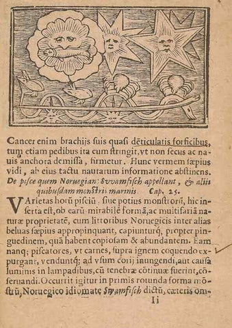 Reproducción/Reproduction 15636066305: Historiae de gentibus septentrionalibus /. Antverpiae :Apud Ioannem Bellerum,[ca. 1557]