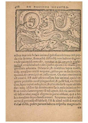 Reproducción/Reproduction 15450482650: Historiae de gentibus septentrionalibus /. Antverpiae :Apud Ioannem Bellerum,[ca. 1557]