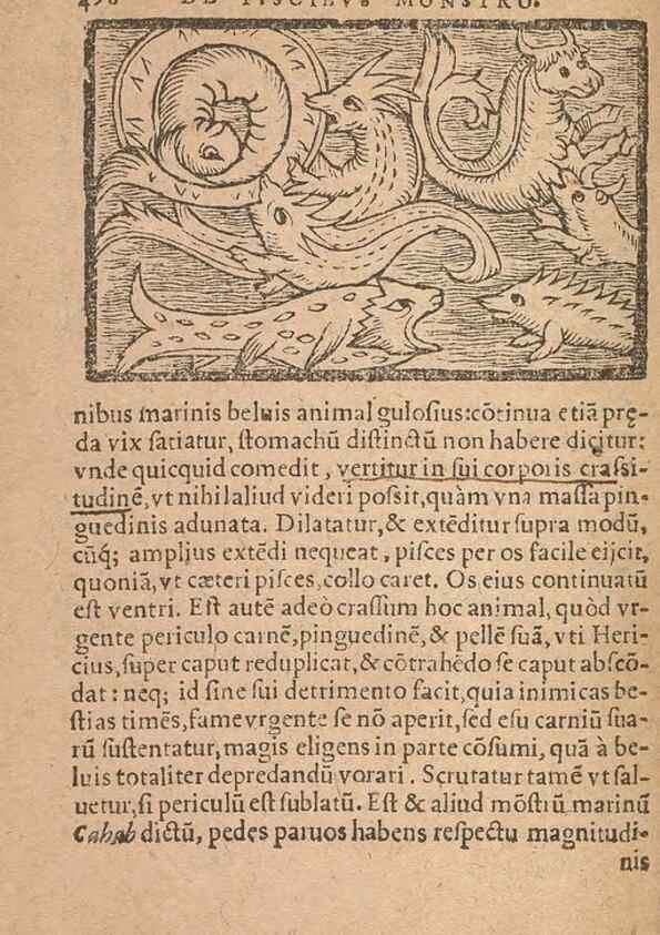 Reproducción/Reproduction 15450482650: Historiae de gentibus septentrionalibus /. Antverpiae :Apud Ioannem Bellerum,[ca. 1557]
