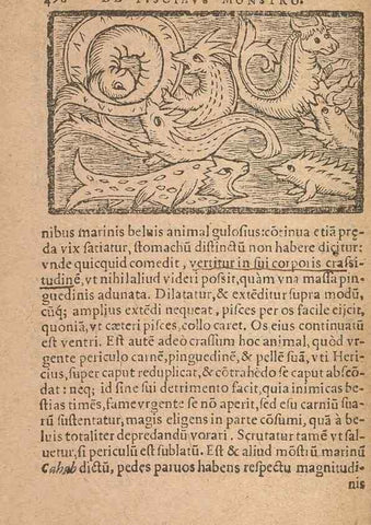 Reproducción/Reproduction 15450482650: Historiae de gentibus septentrionalibus /. Antverpiae :Apud Ioannem Bellerum,[ca. 1557]