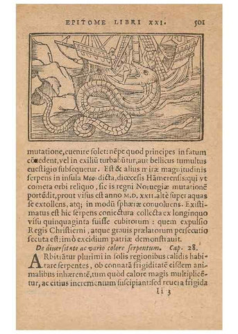 Reproducción/Reproduction 15015318484: Historiae de gentibus septentrionalibus /. Antverpiae :Apud Ioannem Bellerum,[ca. 1557]