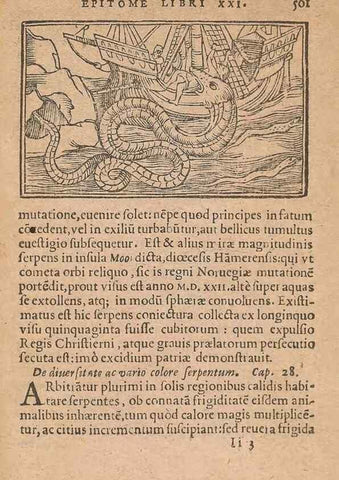 Reproducción/Reproduction 15015318484: Historiae de gentibus septentrionalibus /. Antverpiae :Apud Ioannem Bellerum,[ca. 1557]