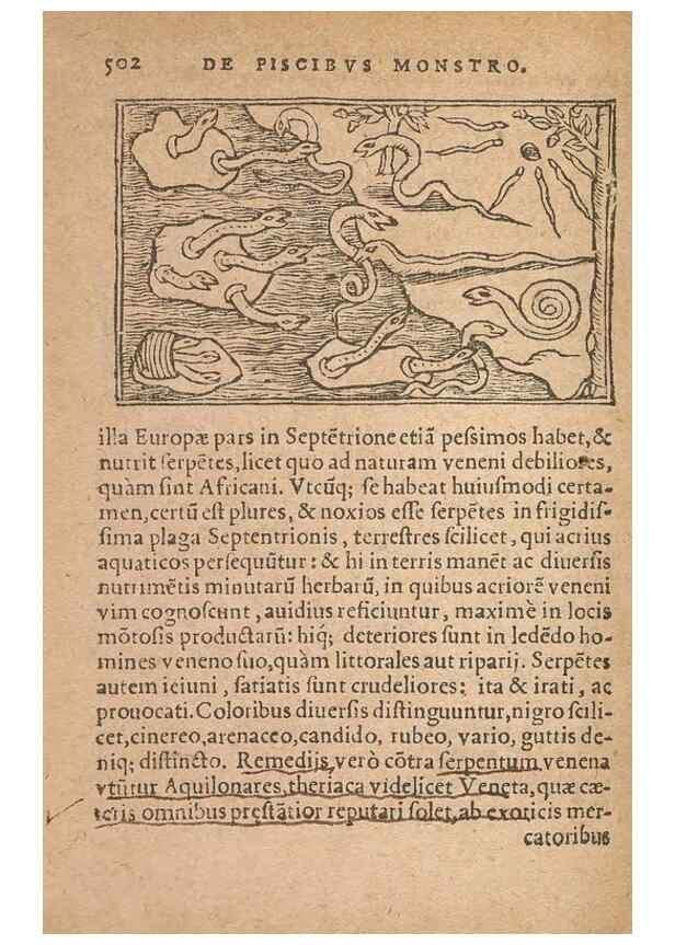 Reproducción/Reproduction 15633402971: Historiae de gentibus septentrionalibus /. Antverpiae :Apud Ioannem Bellerum,[ca. 1557]