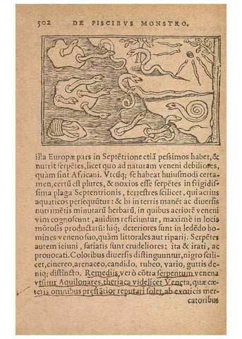 Reproducción/Reproduction 15633402971: Historiae de gentibus septentrionalibus /. Antverpiae :Apud Ioannem Bellerum,[ca. 1557]