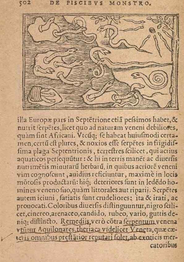 Reproducción/Reproduction 15633402971: Historiae de gentibus septentrionalibus /. Antverpiae :Apud Ioannem Bellerum,[ca. 1557]