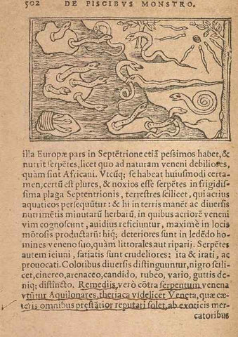 Reproducción/Reproduction 15633402971: Historiae de gentibus septentrionalibus /. Antverpiae :Apud Ioannem Bellerum,[ca. 1557]