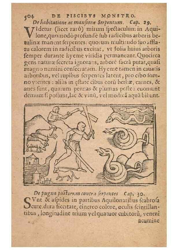 Reproducción/Reproduction 15636919182: Historiae de gentibus septentrionalibus /. Antverpiae :Apud Ioannem Bellerum,[ca. 1557]