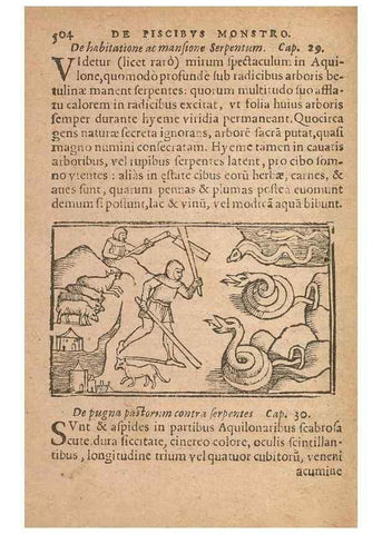 Reproducción/Reproduction 15636919182: Historiae de gentibus septentrionalibus /. Antverpiae :Apud Ioannem Bellerum,[ca. 1557]