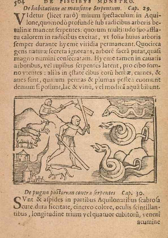Reproducción/Reproduction 15636919182: Historiae de gentibus septentrionalibus /. Antverpiae :Apud Ioannem Bellerum,[ca. 1557]