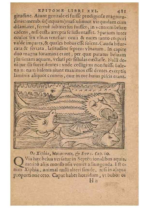 Reproducción/Reproduction 15449892508: Historiae de gentibus septentrionalibus /. Antverpiae :Apud Ioannem Bellerum,[ca. 1557]