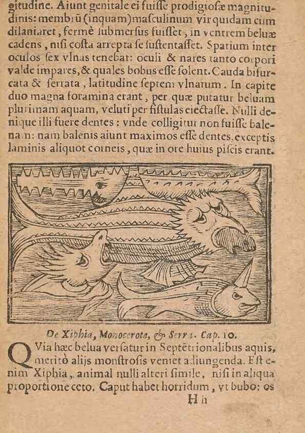 Reproducción/Reproduction 15449892508: Historiae de gentibus septentrionalibus /. Antverpiae :Apud Ioannem Bellerum,[ca. 1557]