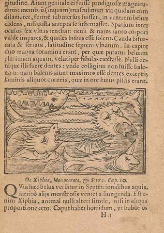 Reproducción/Reproduction 15449892508: Historiae de gentibus septentrionalibus /. Antverpiae :Apud Ioannem Bellerum,[ca. 1557]