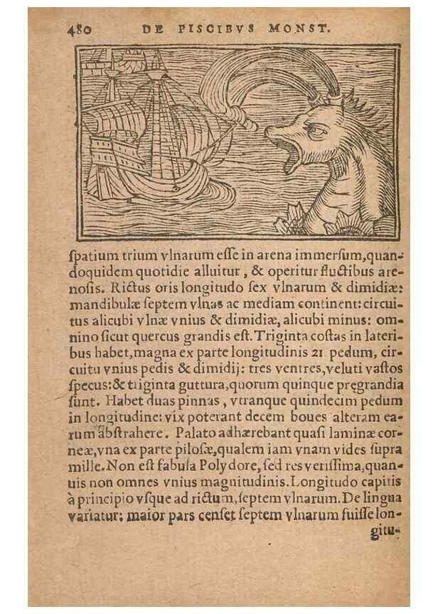 Reproducción/Reproduction 15449889458: Historiae de gentibus septentrionalibus /. Antverpiae :Apud Ioannem Bellerum,[ca. 1557]