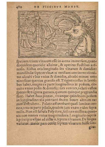 Reproducción/Reproduction 15449889458: Historiae de gentibus septentrionalibus /. Antverpiae :Apud Ioannem Bellerum,[ca. 1557]