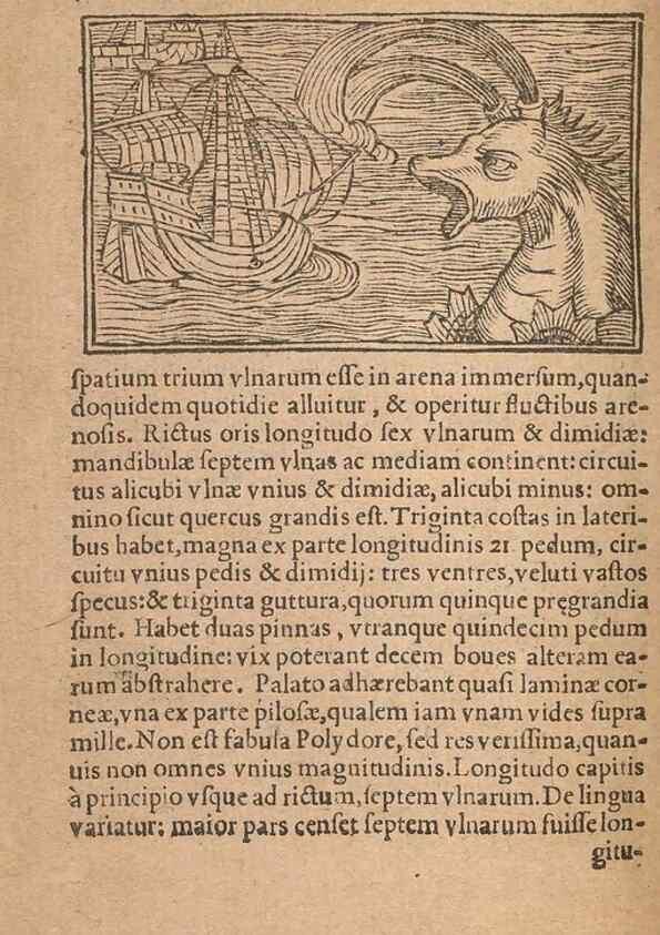 Reproducción/Reproduction 15449889458: Historiae de gentibus septentrionalibus /. Antverpiae :Apud Ioannem Bellerum,[ca. 1557]
