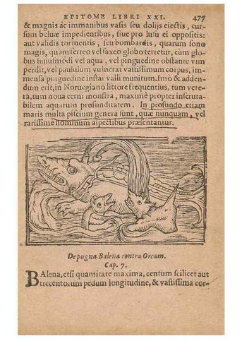 Reproducción/Reproduction 15015258544: Historiae de gentibus septentrionalibus /. Antverpiae :Apud Ioannem Bellerum,[ca. 1557]