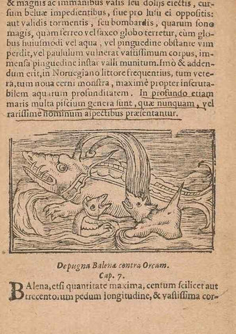 Reproducción/Reproduction 15015258544: Historiae de gentibus septentrionalibus /. Antverpiae :Apud Ioannem Bellerum,[ca. 1557]