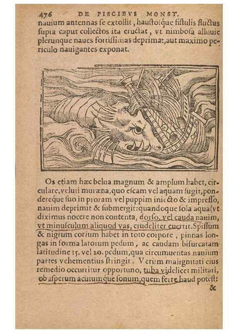 Reproducción/Reproduction 15015829323: Historiae de gentibus septentrionalibus /. Antverpiae :Apud Ioannem Bellerum,[ca. 1557]