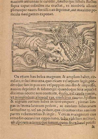 Reproducción/Reproduction 15015829323: Historiae de gentibus septentrionalibus /. Antverpiae :Apud Ioannem Bellerum,[ca. 1557]