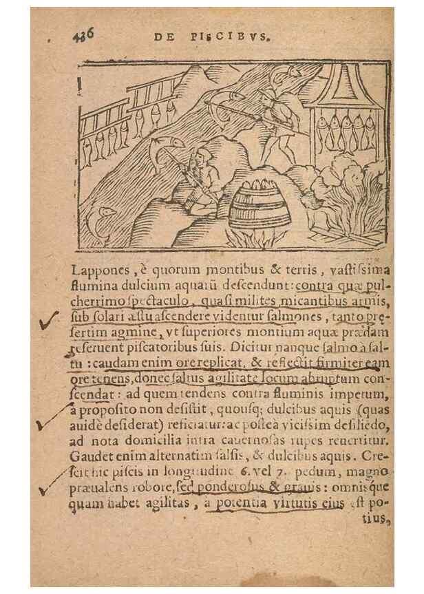 Reproducción/Reproduction 15612180286: Historiae de gentibus septentrionalibus /. Antverpiae :Apud Ioannem Bellerum,[ca. 1557]