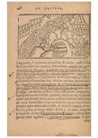 Reproducción/Reproduction 15612180286: Historiae de gentibus septentrionalibus /. Antverpiae :Apud Ioannem Bellerum,[ca. 1557]