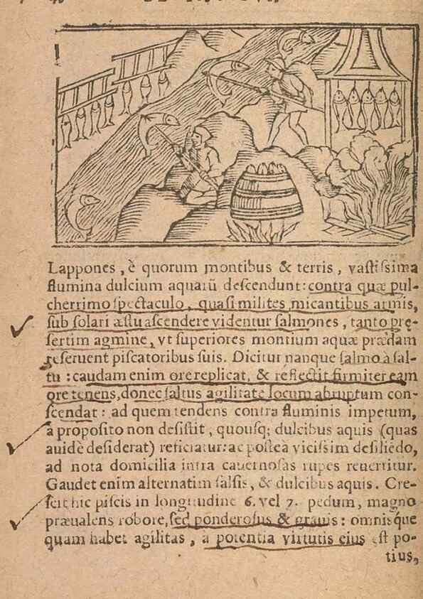 Reproducción/Reproduction 15612180286: Historiae de gentibus septentrionalibus /. Antverpiae :Apud Ioannem Bellerum,[ca. 1557]