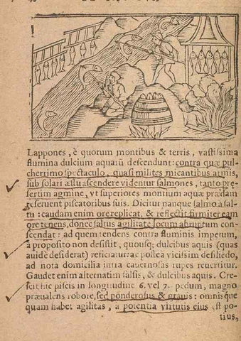 Reproducción/Reproduction 15612180286: Historiae de gentibus septentrionalibus /. Antverpiae :Apud Ioannem Bellerum,[ca. 1557]