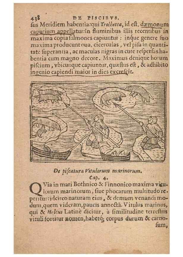 Reproducción/Reproduction 15633237691: Historiae de gentibus septentrionalibus /. Antverpiae :Apud Ioannem Bellerum,[ca. 1557]