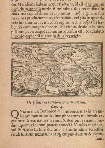 Reproducción/Reproduction 15633237691: Historiae de gentibus septentrionalibus /. Antverpiae :Apud Ioannem Bellerum,[ca. 1557]