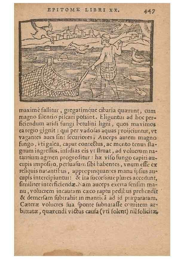 Reproducción/Reproduction 15612195446: Historiae de gentibus septentrionalibus /. Antverpiae :Apud Ioannem Bellerum,[ca. 1557]
