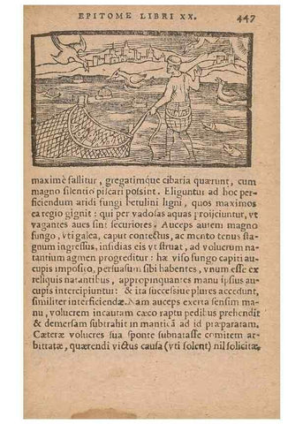 Reproducción/Reproduction 15612195446: Historiae de gentibus septentrionalibus /. Antverpiae :Apud Ioannem Bellerum,[ca. 1557]