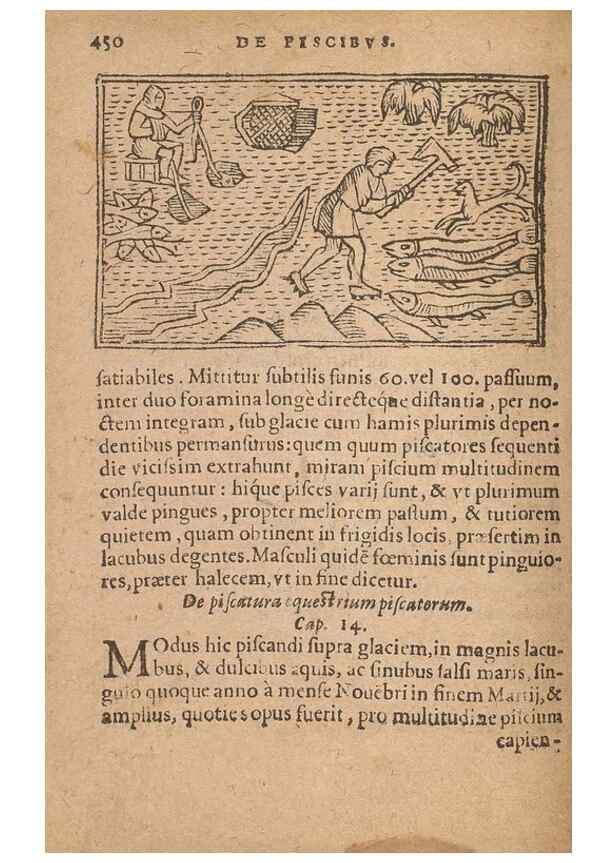 Reproducción/Reproduction 15449282169: Historiae de gentibus septentrionalibus /. Antverpiae :Apud Ioannem Bellerum,[ca. 1557]