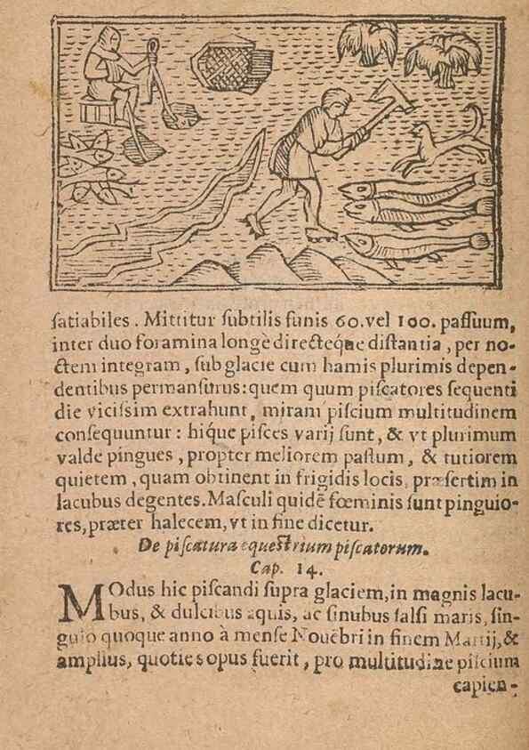 Reproducción/Reproduction 15449282169: Historiae de gentibus septentrionalibus /. Antverpiae :Apud Ioannem Bellerum,[ca. 1557]