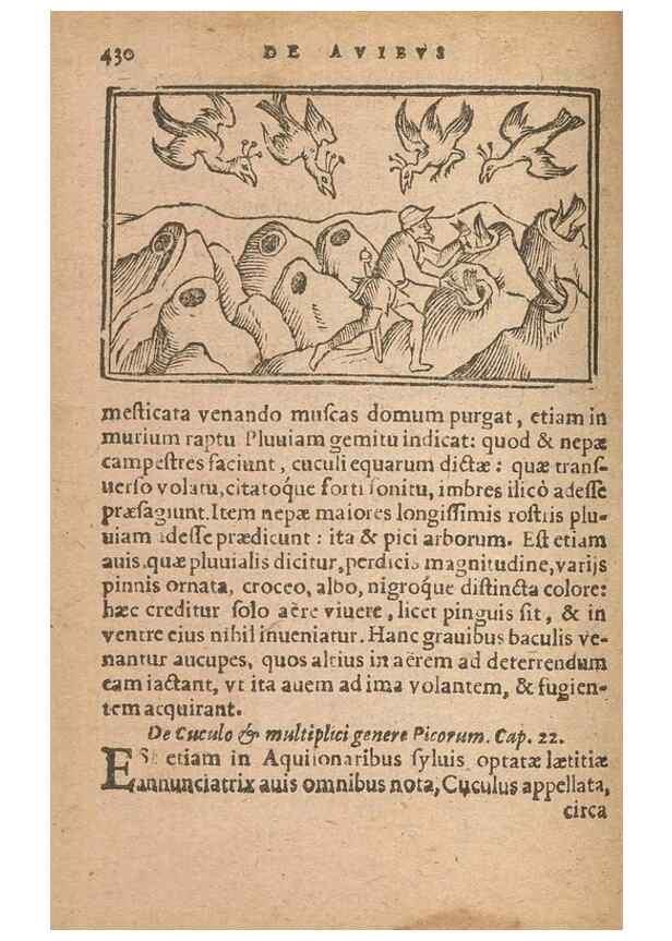 Reproducción/Reproduction 15015713753: Historiae de gentibus septentrionalibus /. Antverpiae :Apud Ioannem Bellerum,[ca. 1557]