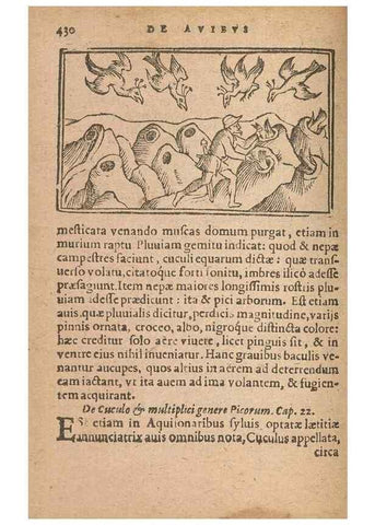 Reproducción/Reproduction 15015713753: Historiae de gentibus septentrionalibus /. Antverpiae :Apud Ioannem Bellerum,[ca. 1557]