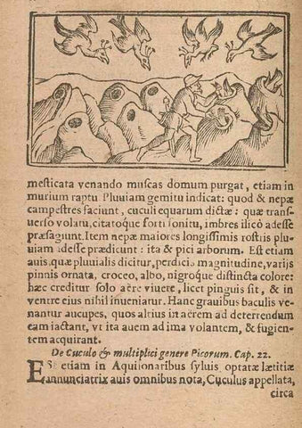 Reproducción/Reproduction 15015713753: Historiae de gentibus septentrionalibus /. Antverpiae :Apud Ioannem Bellerum,[ca. 1557]