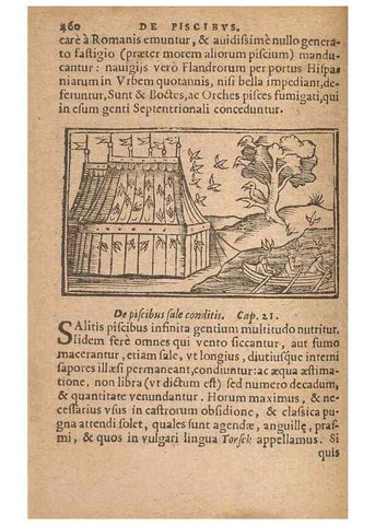 Reproducción/Reproduction 15635943185: Historiae de gentibus septentrionalibus /. Antverpiae :Apud Ioannem Bellerum,[ca. 1557]