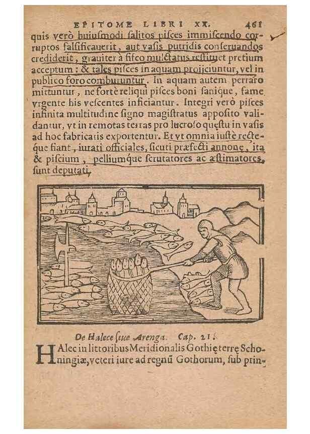 Reproducción/Reproduction 15449837348: Historiae de gentibus septentrionalibus /. Antverpiae :Apud Ioannem Bellerum,[ca. 1557]
