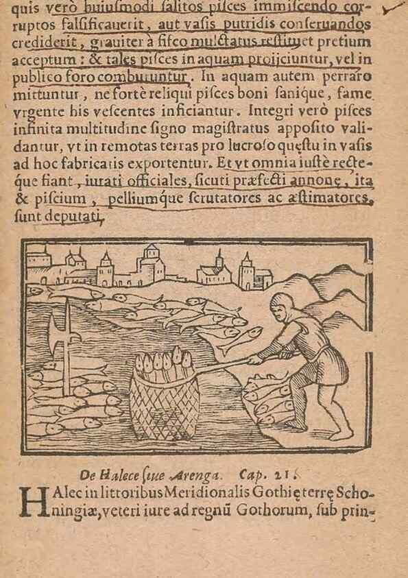 Reproducción/Reproduction 15449837348: Historiae de gentibus septentrionalibus /. Antverpiae :Apud Ioannem Bellerum,[ca. 1557]