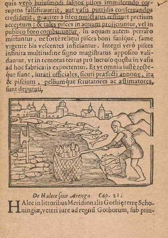 Reproducción/Reproduction 15449837348: Historiae de gentibus septentrionalibus /. Antverpiae :Apud Ioannem Bellerum,[ca. 1557]