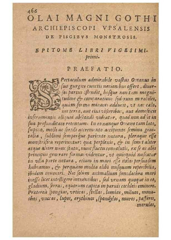 Reproducción/Reproduction 15015229244: Historiae de gentibus septentrionalibus /. Antverpiae :Apud Ioannem Bellerum,[ca. 1557]