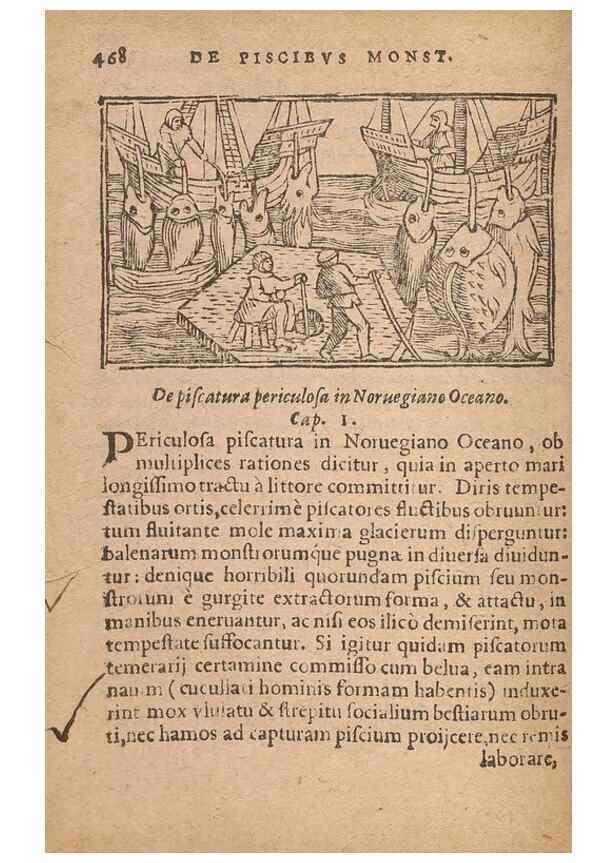 Reproducción/Reproduction 15636825912: Historiae de gentibus septentrionalibus /. Antverpiae :Apud Ioannem Bellerum,[ca. 1557]
