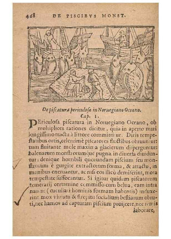 Reproducción/Reproduction 15636825912: Historiae de gentibus septentrionalibus /. Antverpiae :Apud Ioannem Bellerum,[ca. 1557]